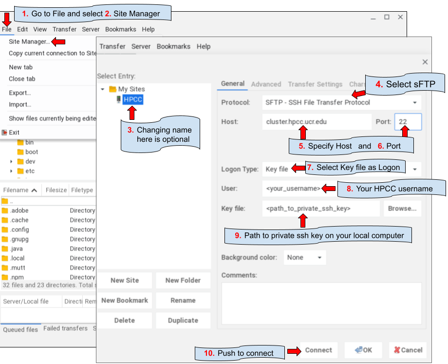 batch file rename linux shell