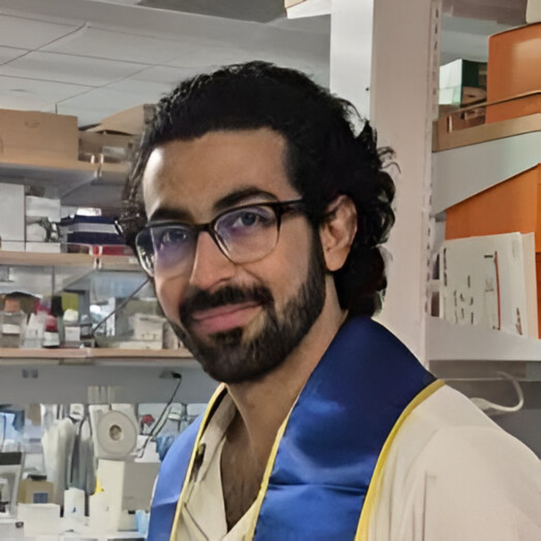 Portrait of Mohammad Afsharinia