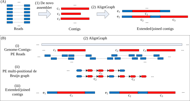 aligngraph