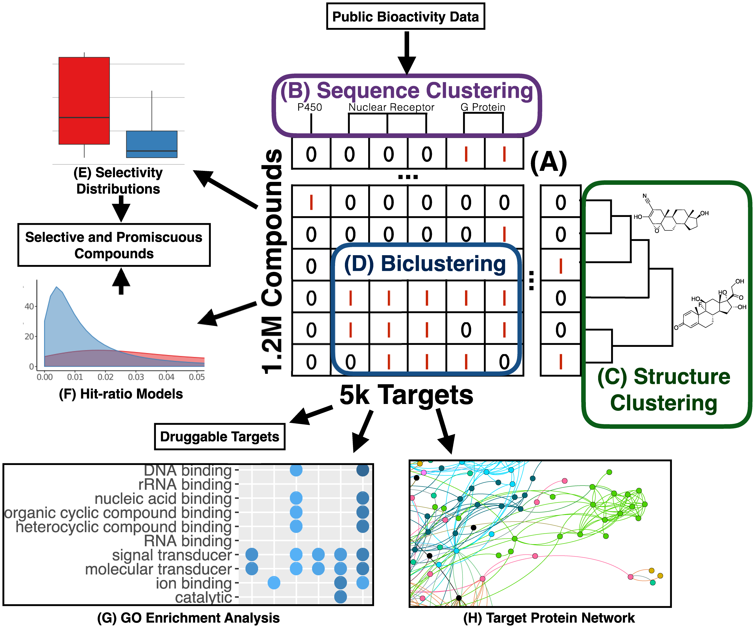 Large-scale bioactivity analysis