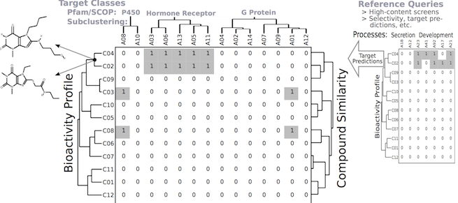 Chemical Genomics